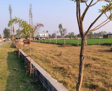 Residential Plots